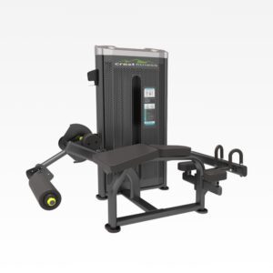 Prone Leg Curl Star Series