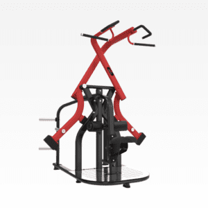 Dual Lat Pulldown Is 20