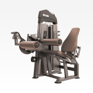Leg Curl / Leg Extension Gl 02 Galaxy Series
