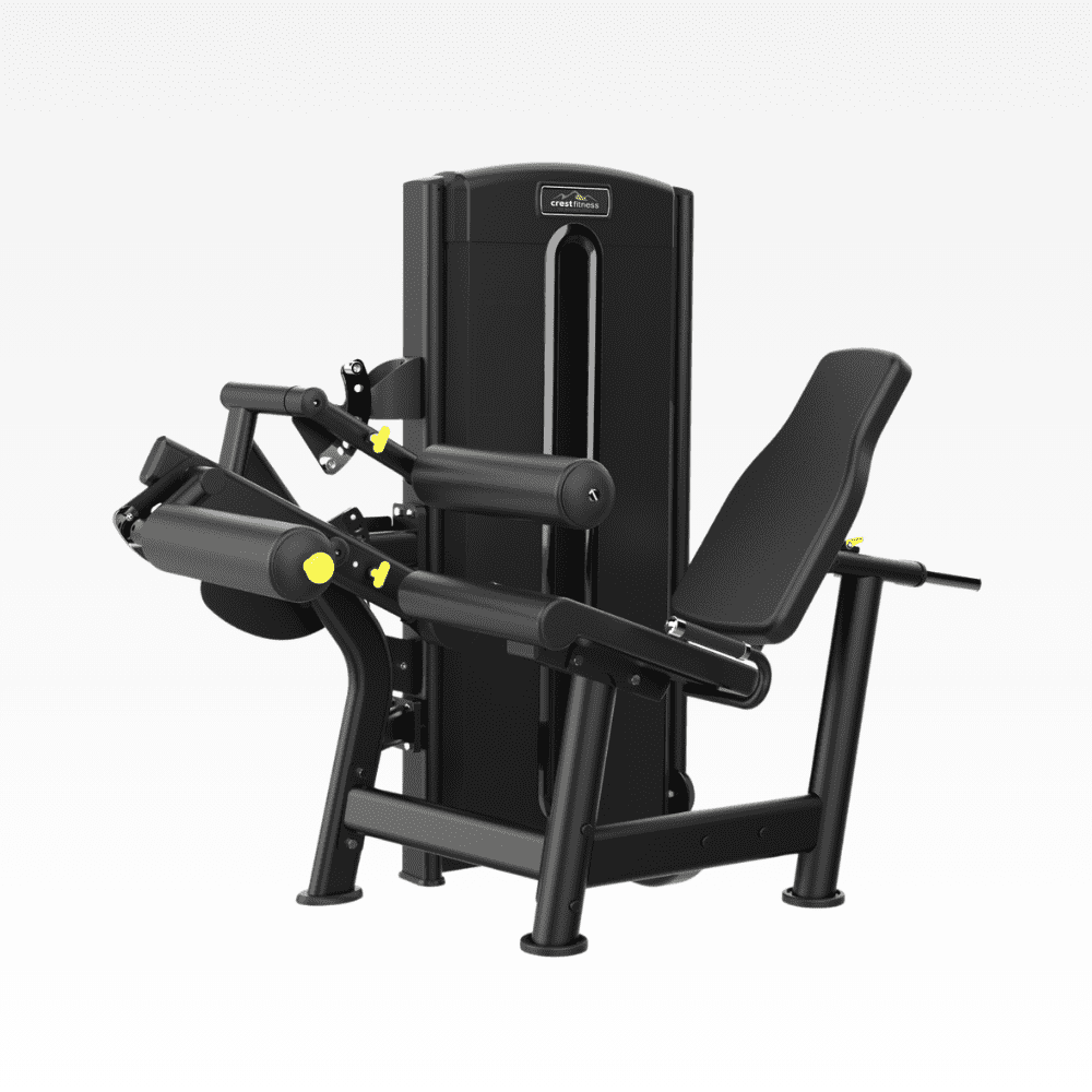 Leg Curl Leg Extension AL 02 Alpha Series
