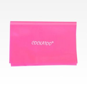 Exercise Band – Light Crossfit & Other Accessories