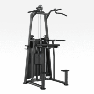 Weight Assisted Chin Dip Knight Series