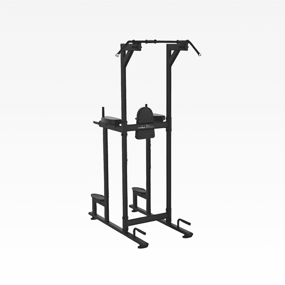 Vertical Knee Raise 2.0