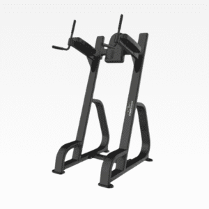 Vertical Knee Raise 2.0 Racks, Rigs & Platforms