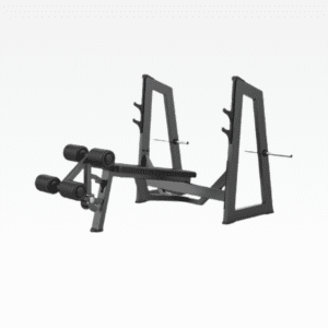 Olympic Decline Bench Galaxy