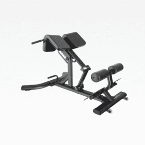 Roman Chair Exclusive