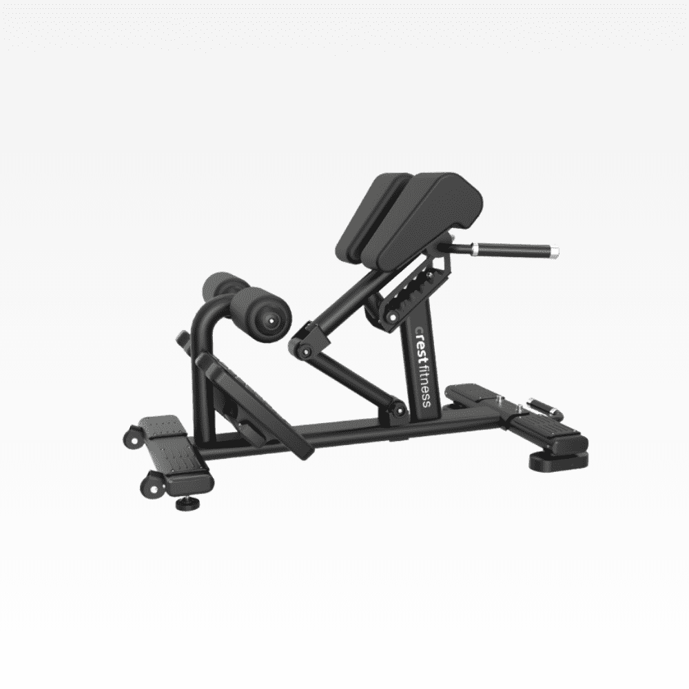 Roman Chair Prestige