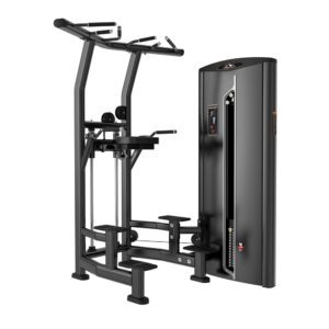 Dip/Chin Assisted | Pin Loaded