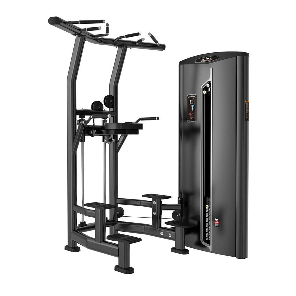 Dip/Chin Assisted | Pin Loaded