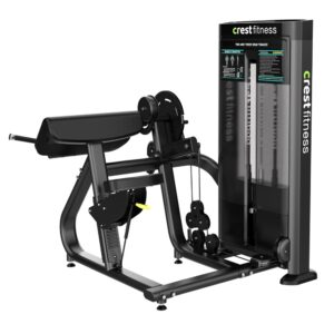 Bicep Curl + Tricep Extension Machine