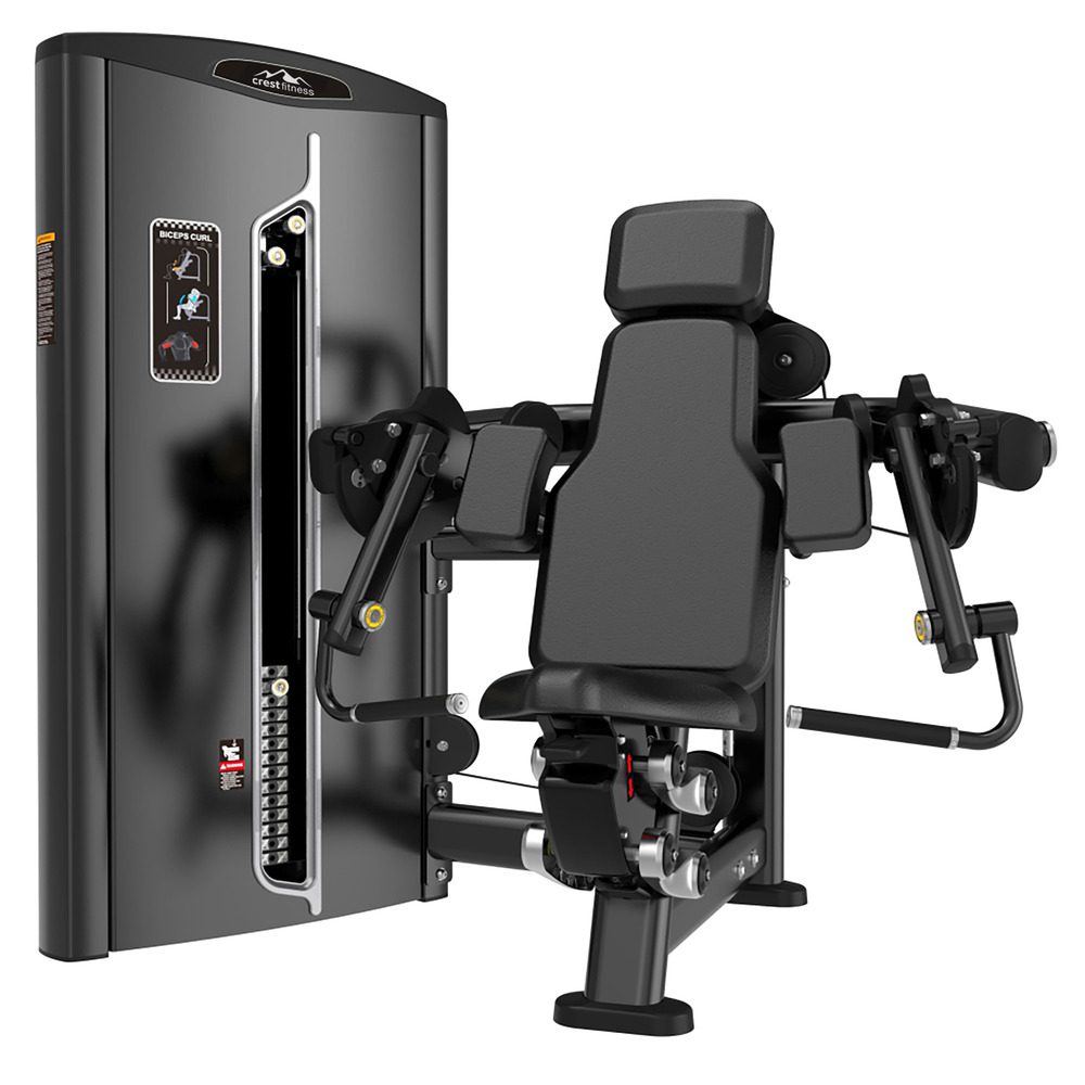 Biceps Curl | Pin Loaded